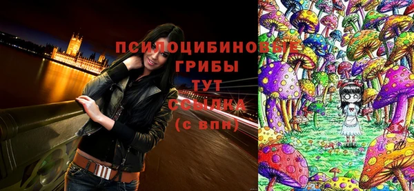 MESCALINE Вязники