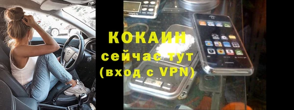 мдпв Вяземский