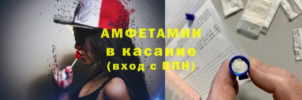 мдпв Вяземский