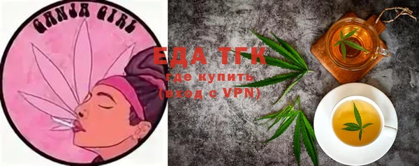 мдпв Вяземский