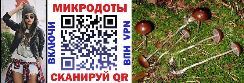 Псилоцибиновые грибы прущие грибы  Злынка 