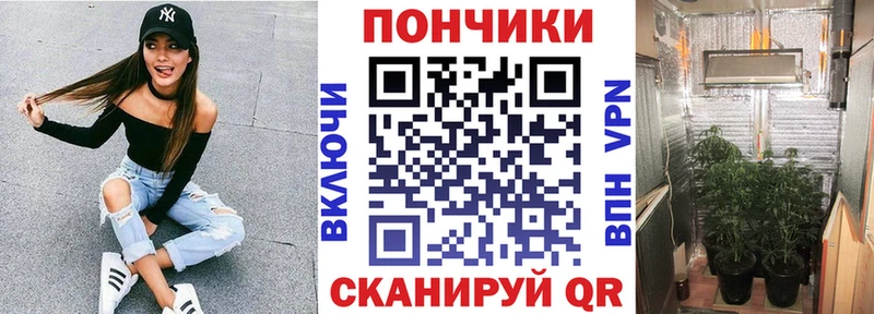 где можно купить наркотик  Злынка  Бошки марихуана OG Kush 